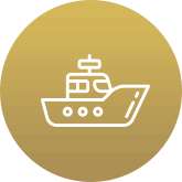 Cruise