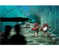 گران قیمت ترین زمین گلف جهان در دل اقیانوس