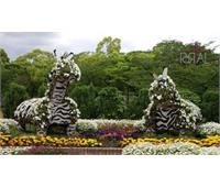 مرکز خرید تنوجی