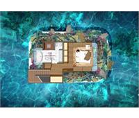 خانه ای شناور به شکل اسب دریایی