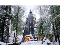 Montana Magica Lodge