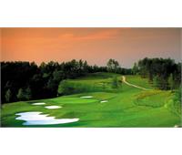 باشگاه ورزشی دالاس