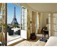 Hotel le meurice hotel Paris france