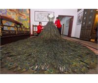 لباس عروس با پر طاووس