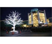 Cehavir Mall