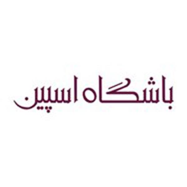 باشگاه اسپین